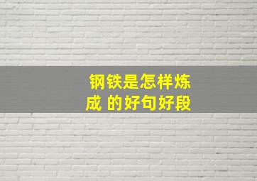 钢铁是怎样炼成 的好句好段